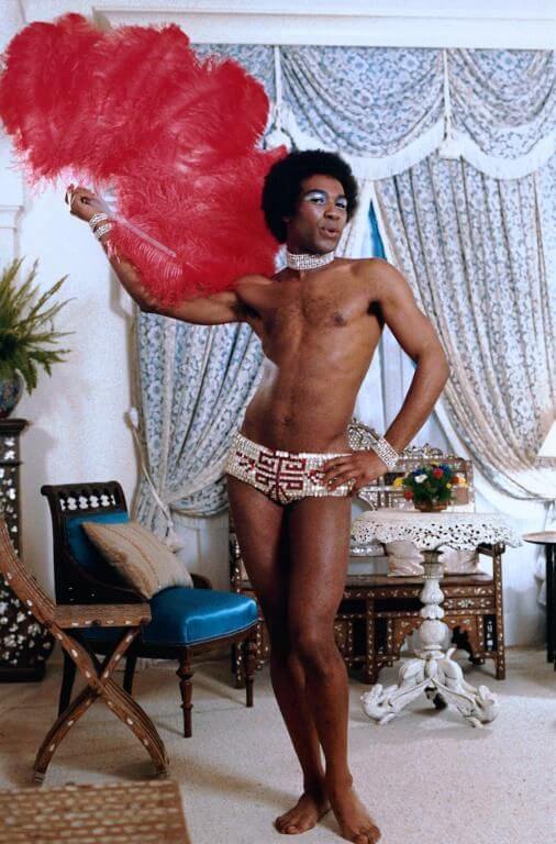 Cage_aux_folles