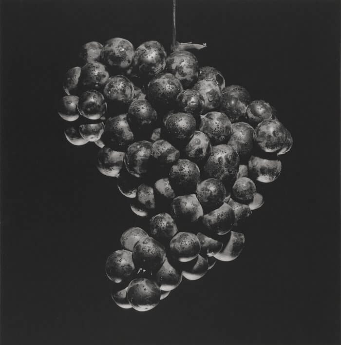 Grapes, 1985
