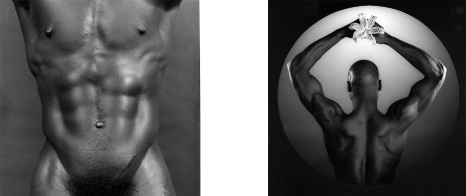 Charles-Bowman-/-Torso,-1980-American-Ken-Moody-(With-Orchid),1984