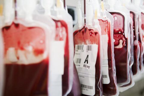 Gli Stati Uniti vogliono togliere il divieto sulla donazione di sangue per uomini gay - blood usa - Gay.it