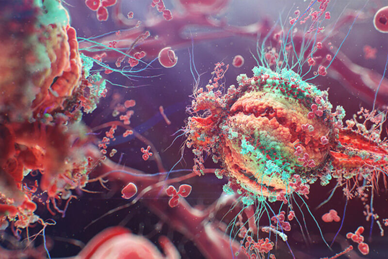 HIV: le persone in terapia non sono infettive. I nuovi dati e il parere dell’infettivologo