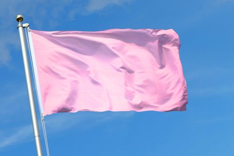Chi ha paura del colore rosa? - pink flag - Gay.it