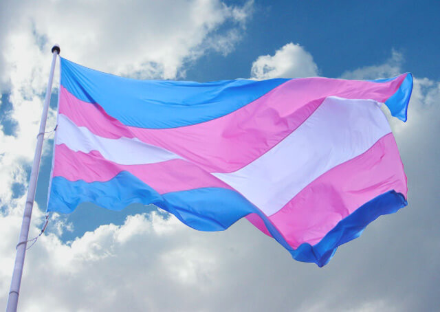 trans flag
