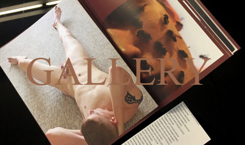 gallerybruto