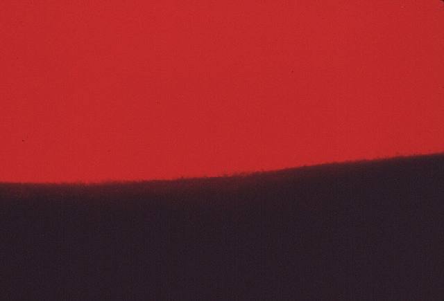 blood-soil-1987