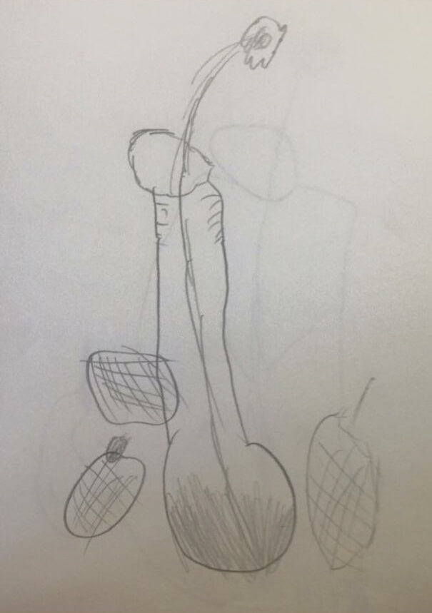 Bambini che disegnano peni per sbaglio