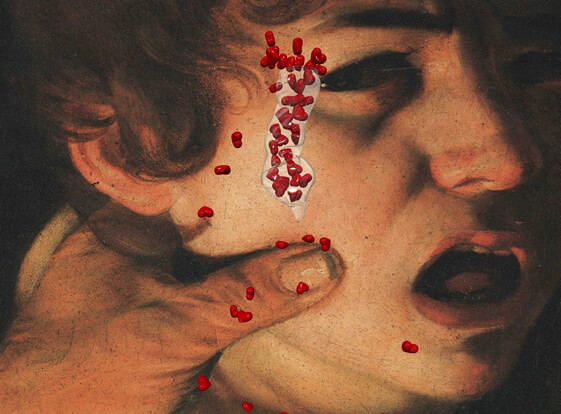 raspberryposer9