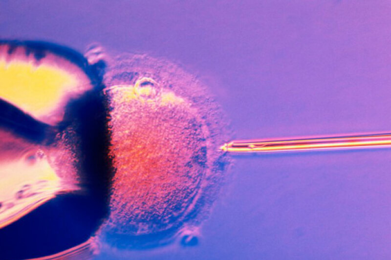 È nato il primo bambino figlio biologico di tre persone
