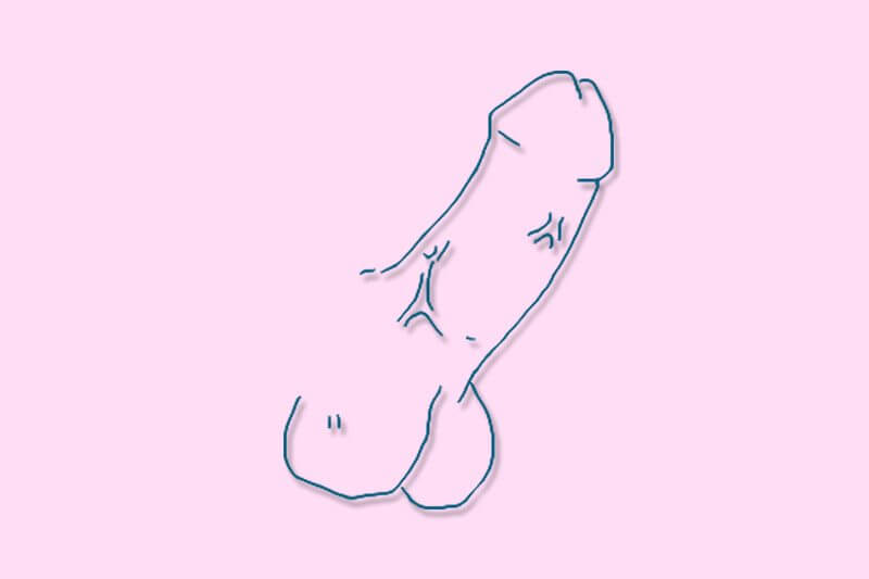 TEST: Quanto conosci il pene?