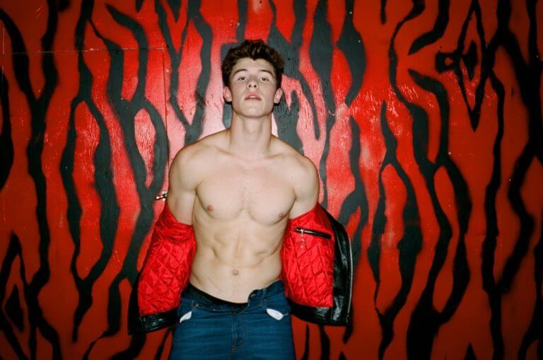shawn mendes
