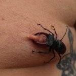 Capezzoli: tutti ne abbiamo due ma quelli degli altri non sono affatto male - Thumbnail