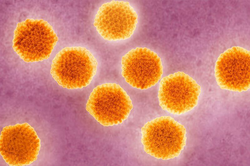 Epidemia di epatite A tra gli omosessuali: consigliato vaccinarsi