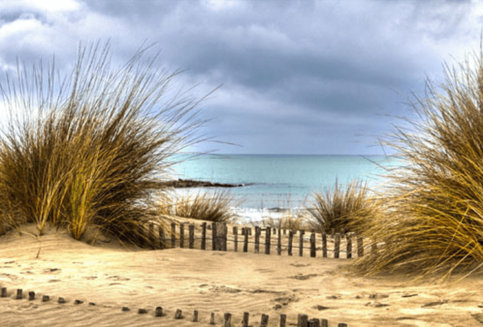 Espiguette, Francia