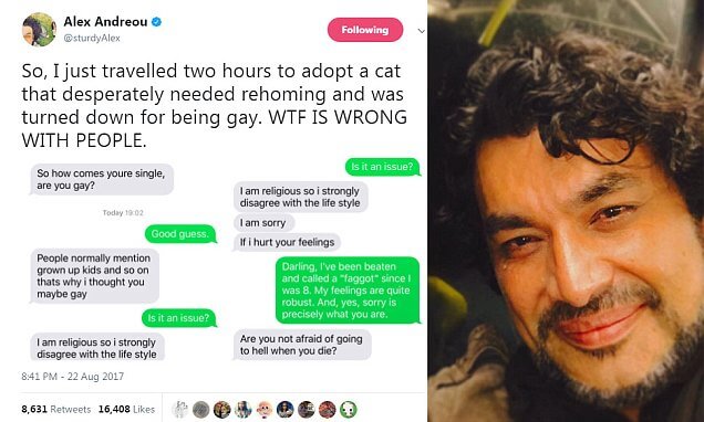 "Sei gay? Allora non puoi adottare il gatto" - gay gatto 2 - Gay.it