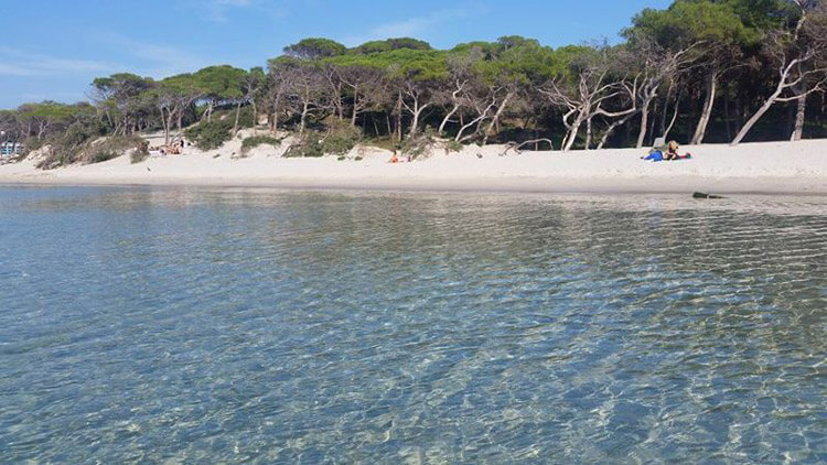 Alghero, roghi in pineta: spunta l'ipotesi omofobia - maria pia alghero 2 - Gay.it