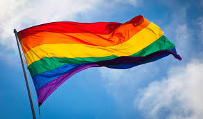 Egitto, sventolano bandiera LGBT al concerto: sette arresti - egitto 1 - Gay.it