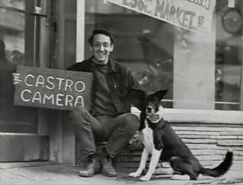 Harvey Milk Castro