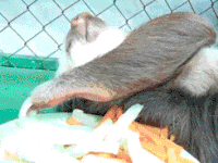 Cinque rimedi contro l'hangover che ancora non conoscevate - 200w d - Gay.it
