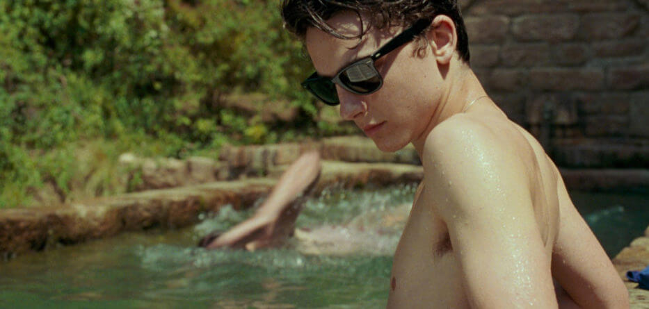 David di Donatello 2025, Timothée Chalamet sarà a Roma e riceverà il David Speciale - Chiamami col tuo nome Timothée Chalamet - Gay.it