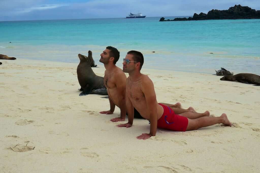 Viaggi rainbow: i Nomadic Boys si raccontano - Galapagos Yoga sea lion Stef Seb - Gay.it