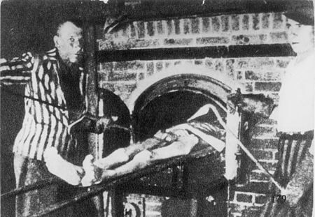 27 gennaio 1945, finisce l'orrore: memorie di un Omocausto - nazismo 6 - Gay.it