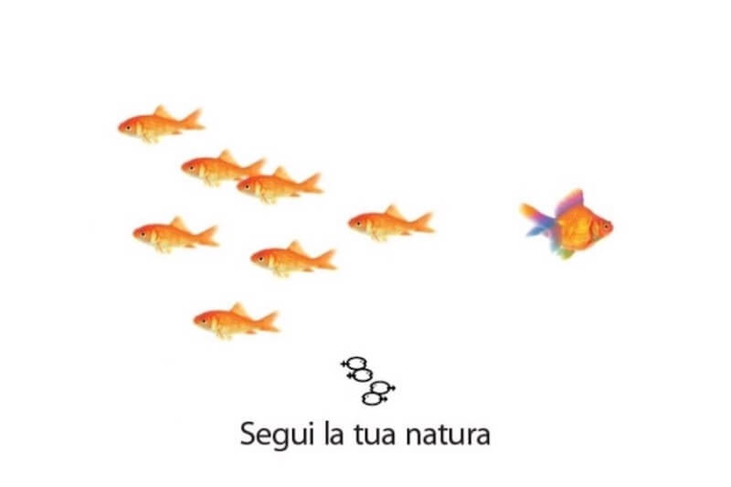 Gruppo Pesce, intervista ai nuotatori LGBT d'Italia: 'La società civile si è evoluta, sono le aziende a non avere coraggio' - Scaled Image 1 20 - Gay.it