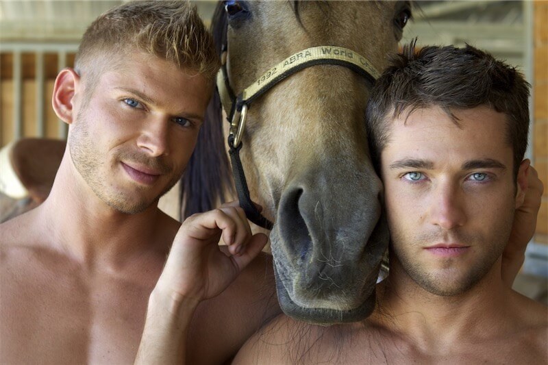 Muscoli e Animali: l'accoppiata che piace - Scaled Image 83 - Gay.it