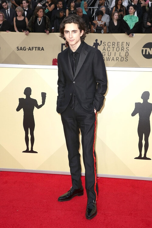 Timothée Chalamet