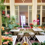 Giardino dell'hotel Miramare - Thumbnail