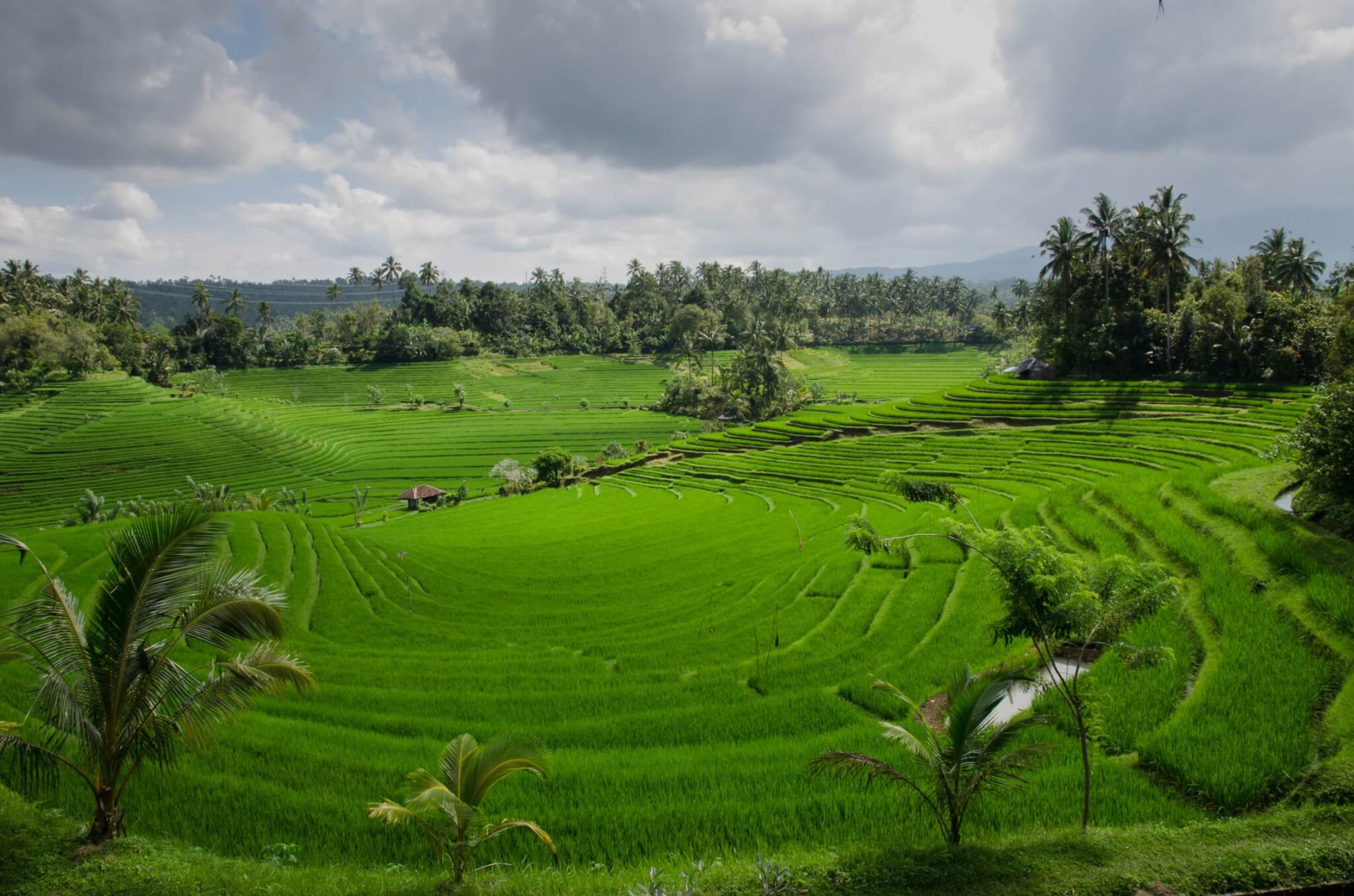 Bali gay-friendly: la più magica e accogliente isola dell’Indonesia - bali paesaggio - Gay.it