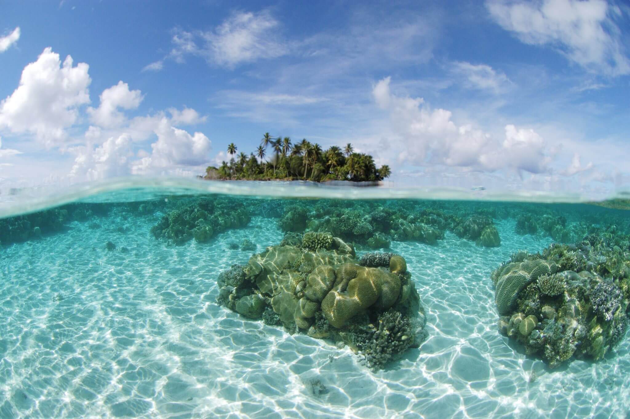 mauritius e seychelles