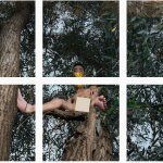 Le opere di MuChum - Thumbnail