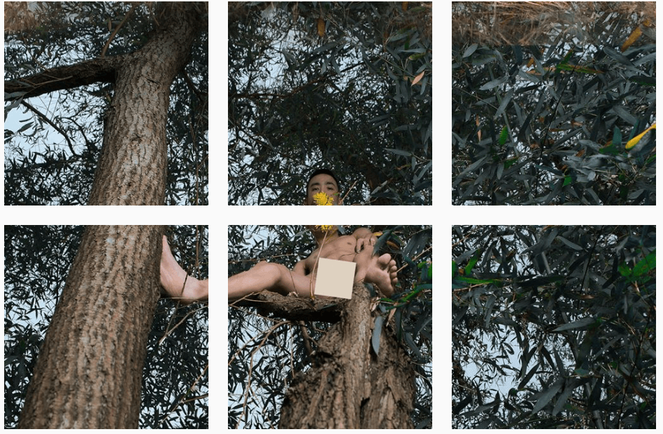 Le opere di MuChum