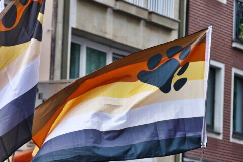 bear gay, comunità ursina