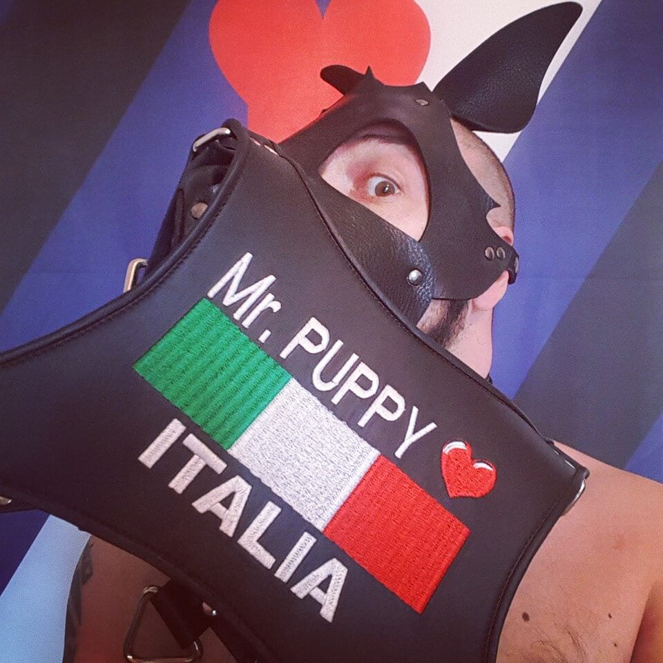 I puppy: i cuccioli gay che si stanno diffondendo anche in Italia - mr puppy - Gay.it