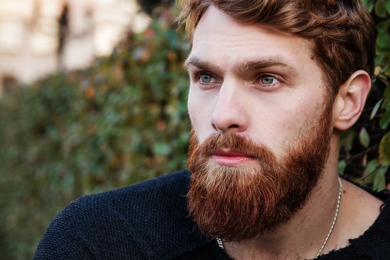 L'how to per avere una barba perfetta - Red Hair Greens Redhead Beard Man Red Beard 1848452 - Gay.it