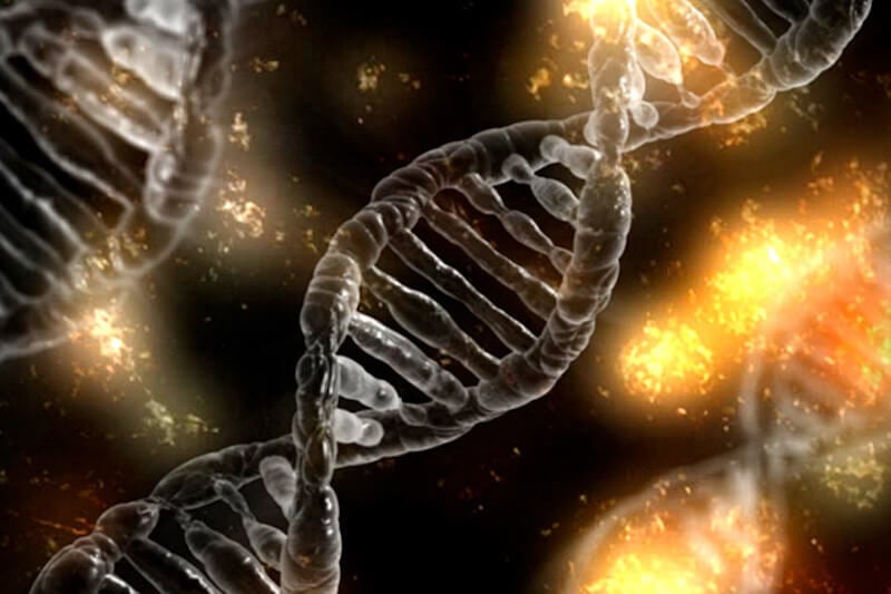 Medicina e omosessualità: si torna a parlare di DNA