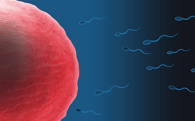 Test della settimana: quanto ne sai di masturbazione? - spermatozoi - Gay.it