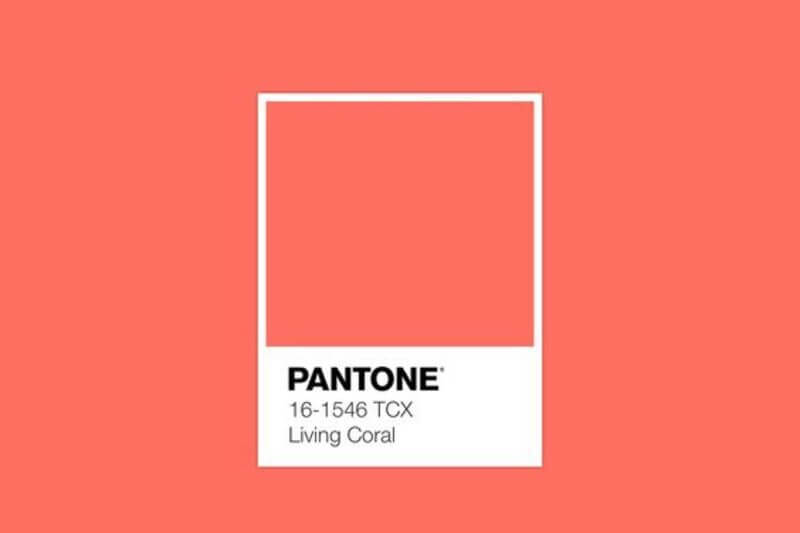 Qual è il colore moda del 2019?