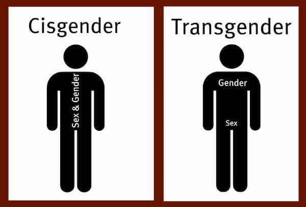 Disforia di genere e mondo T: metti alla prova le tue conoscenze con questo test - 9 - Gay.it