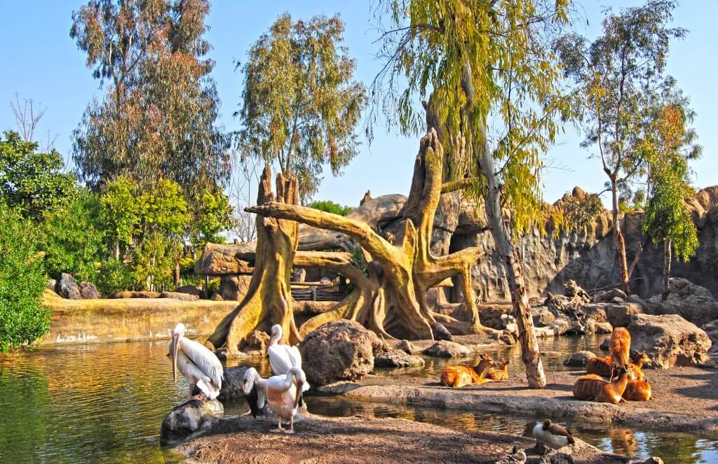 Valencia tra natura e sport: i luoghi da non perdere - bioparc - Gay.it