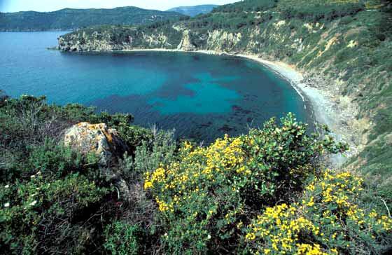 Spiaggia gay Acquarilli Isola dell'Elba
