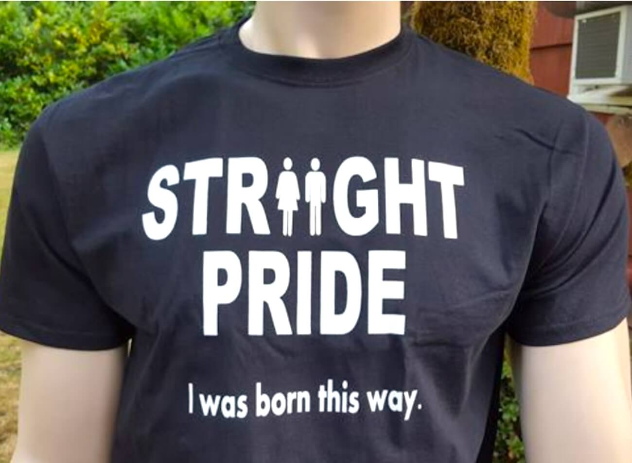 Fa Flop l’Etero Pride di Modesto: 12 persone presenti
