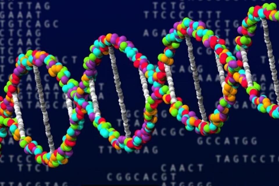 Gene gay? Lo studio conferma: nel DNA ne esiste più d’uno