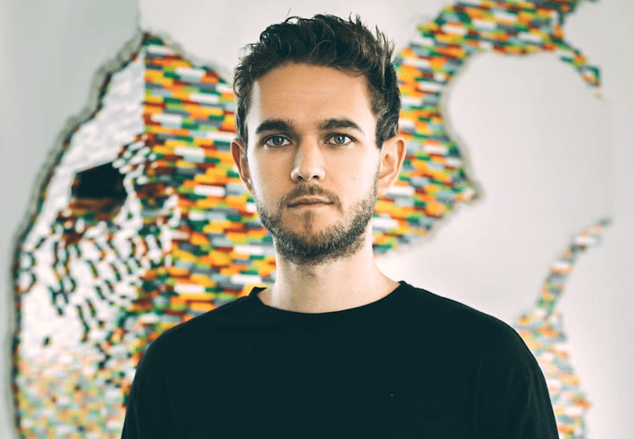 Proposta di matrimonio gay al concerto di Zedd – il video vi commuoverà