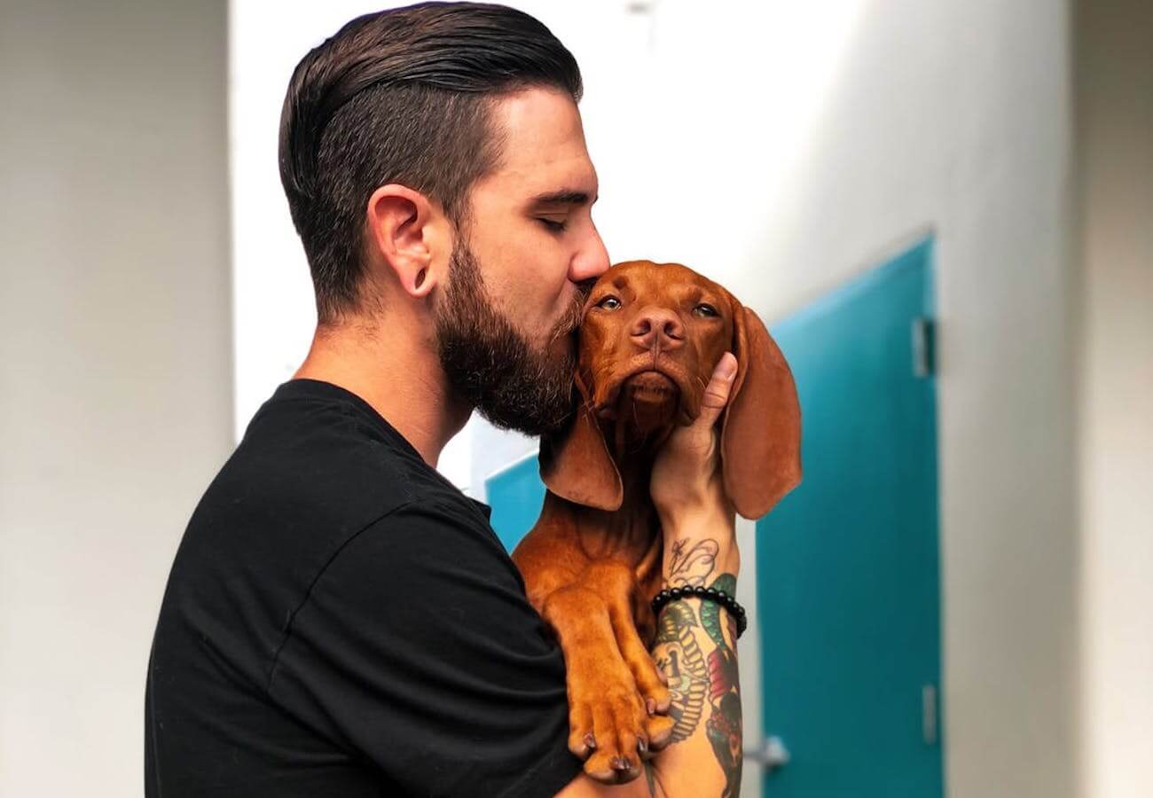 Coppia LGBT e animali domestici: come migliora la relazione?