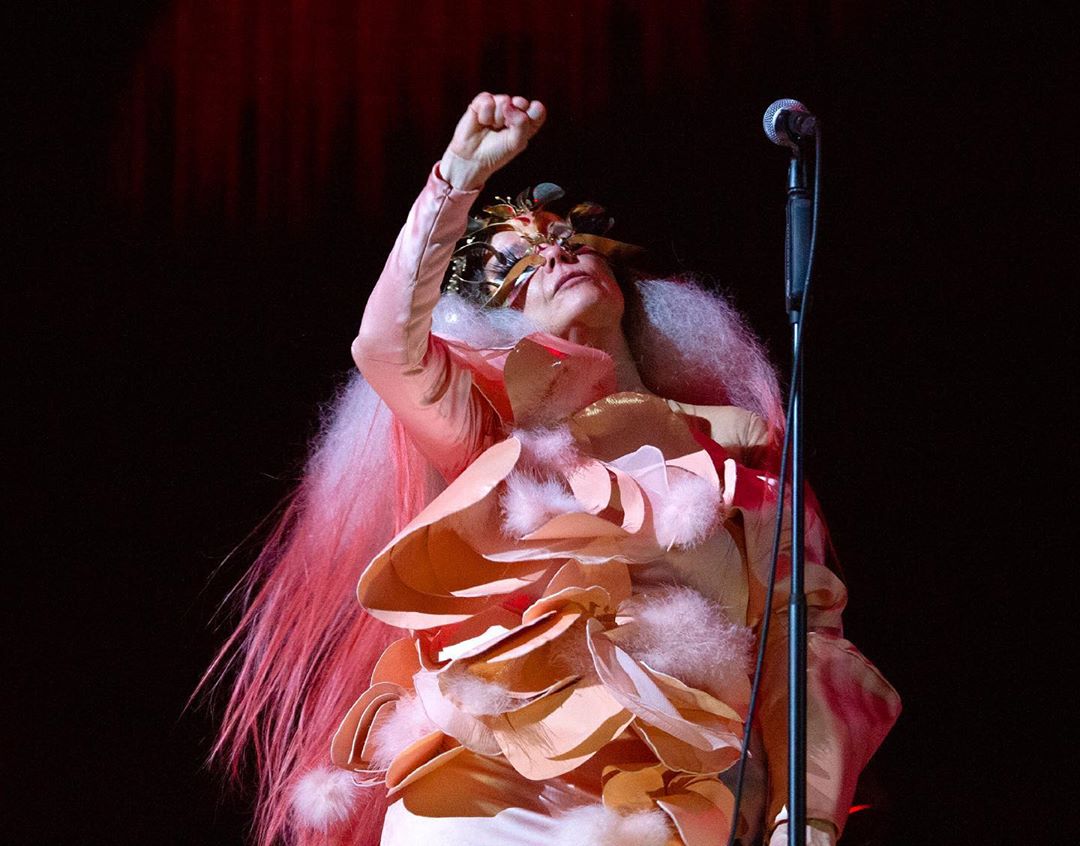La Cornucopia di Bjork: per noi donne è tempo di rialzarci