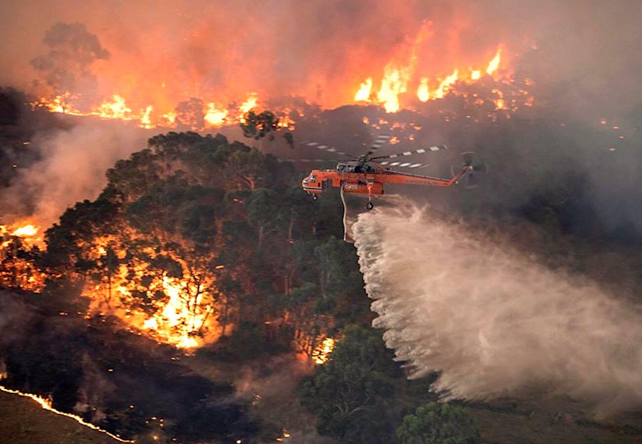 Dopo il PIL, i terremoti e le cattedrali, i gay sono responsabili anche degli incendi in Australia