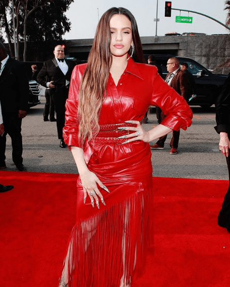 Il red carpet dei Grammy2020