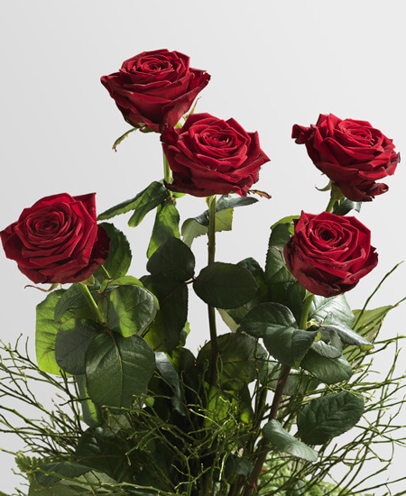 A San Valentino regala il fiore giusto: i consigli di Interflora per una romantica festa degli innamorati - rose interflora gay 4 - Gay.it